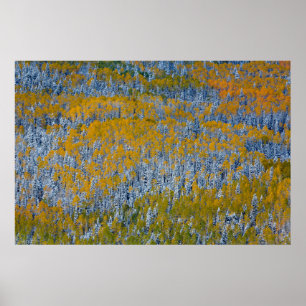 Herbstliche Waldlandschaft Poster