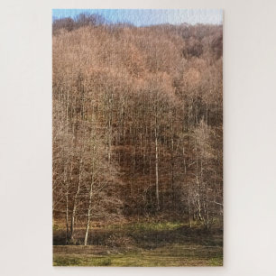 Herbstliche Waldlandschaft - Wilde Natur Rumänien