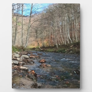 Herbstlicher Gebirgsfluss – Wilde Natur Rumänien Fotoplatte