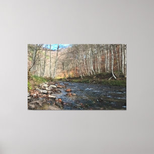 Herbstlicher Gebirgsfluss – Wilde Natur Rumänien Leinwanddruck