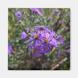 Herbstlicher Purpurglanz Magnet