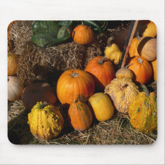 herbstlicher Überfluss Mousepad