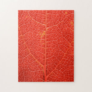Herbstliches Blatt