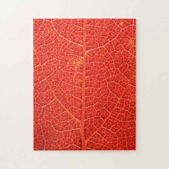 Herbstliches Blatt (Vertikal)