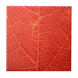 Herbstliches Blatt Fliese
