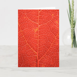 Herbstliches Blatt Karte