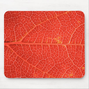 Herbstliches Blatt Mousepad