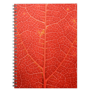 Herbstliches Blatt Notizblock