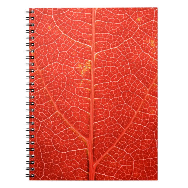 Herbstliches Blatt Notizblock (Vorderseite)