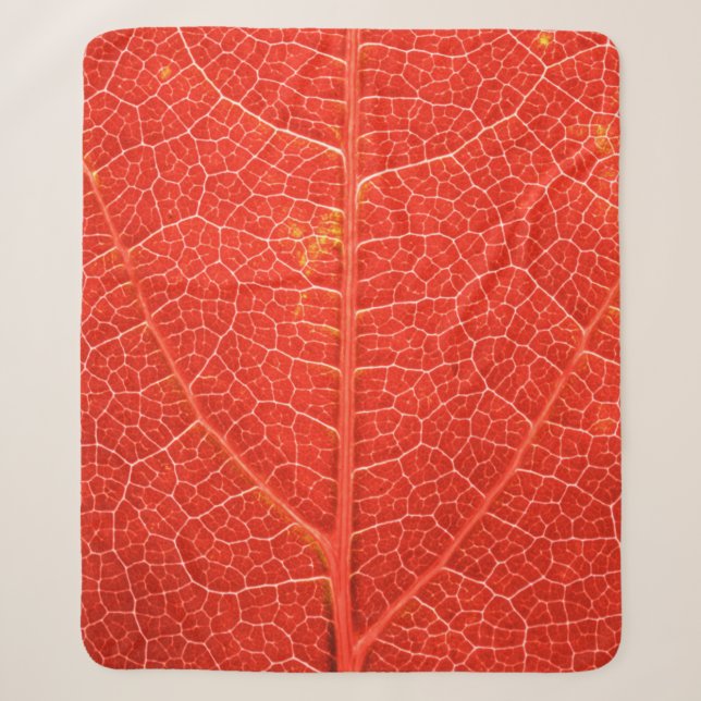 Herbstliches Blatt Sherpadecke (Vorderseite)