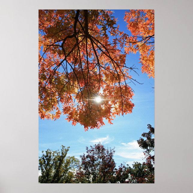"Herbstlicht" Poster (Vorne)