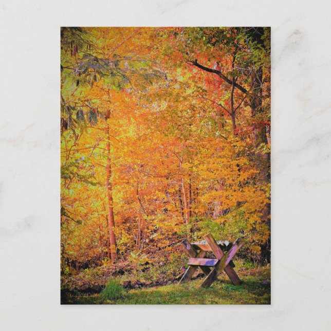 Herbstmagie Postkarte (Vorderseite)