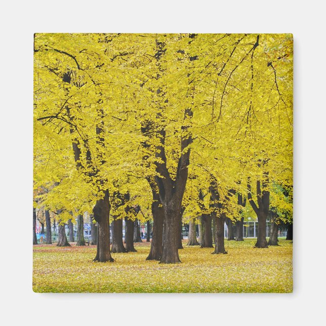 Herbstmagnet Magnet (Vorne)