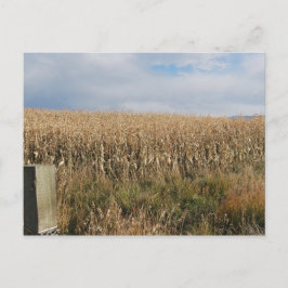 Herbstmaisernte Postkarte