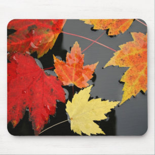 Herbstmapel Verlasse roten Teich Mousepad