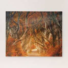 Herbstmapfelwald fällt Wälder Blätter