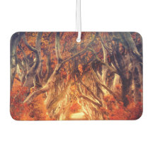 Herbstmapfelwald fällt Wälder Blätter