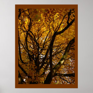 Herbstmaple Bäume drucken Landschaftspopster Poster
