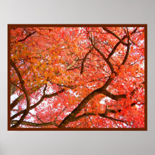 Herbstmaple Bäume drucken Landschaftspopster Poster