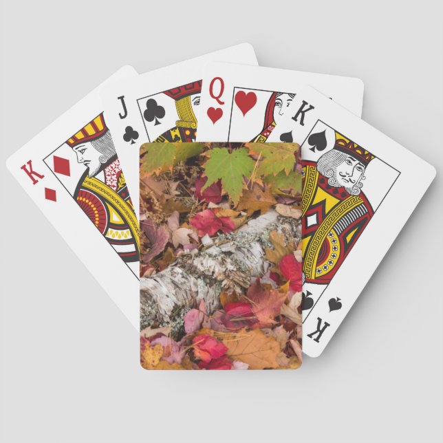 Herbstmaple-Blätter decken Birkenrinde im Wald ab Spielkarten (Rückseite)