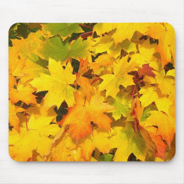 Herbstmaple-Blätter mit Herbstfarben Mousepad (Vorne)