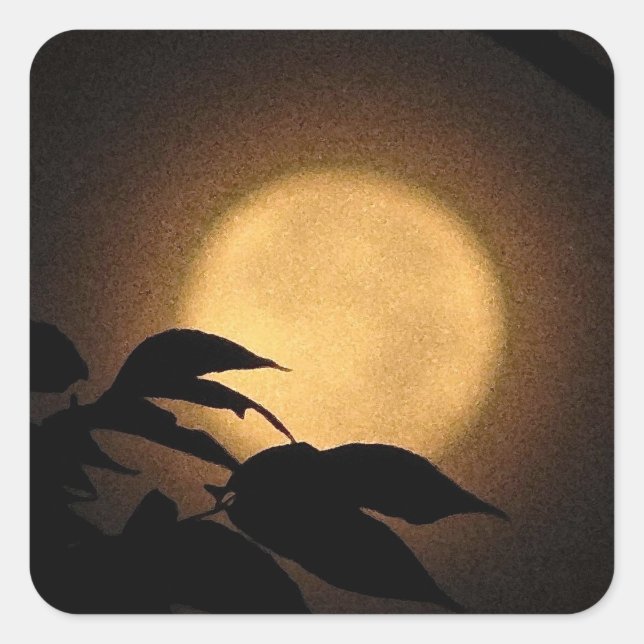 Herbstmond Quadratischer Aufkleber (Vorderseite)