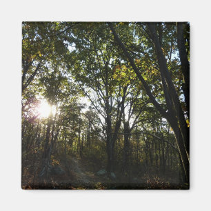 Herbstmorgen im Shenandoah National Park Magnet
