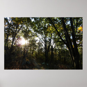 Herbstmorgen im Shenandoah National Park Poster