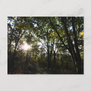 Herbstmorgen im Shenandoah National Park Postkarte