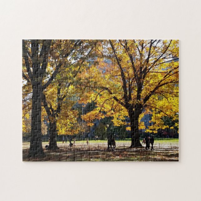 Herbstnachmittag im Central Park (Horizontal)