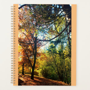 Herbstnachmittag Planer