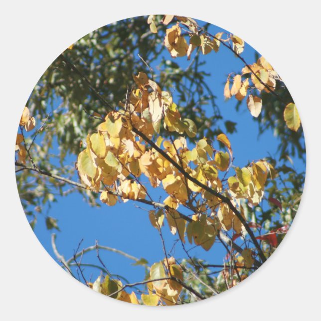 Herbstnachmittag Runder Aufkleber (Vorderseite)
