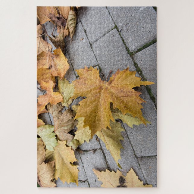 Herbstnachweise (Vertikal)