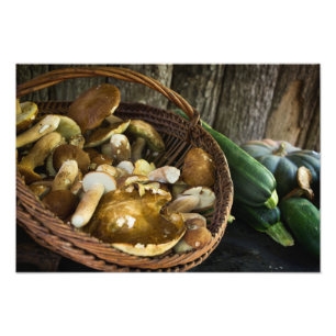 Herbstnahrungsmittelnoch Leben-Fotodruck Fotodruck
