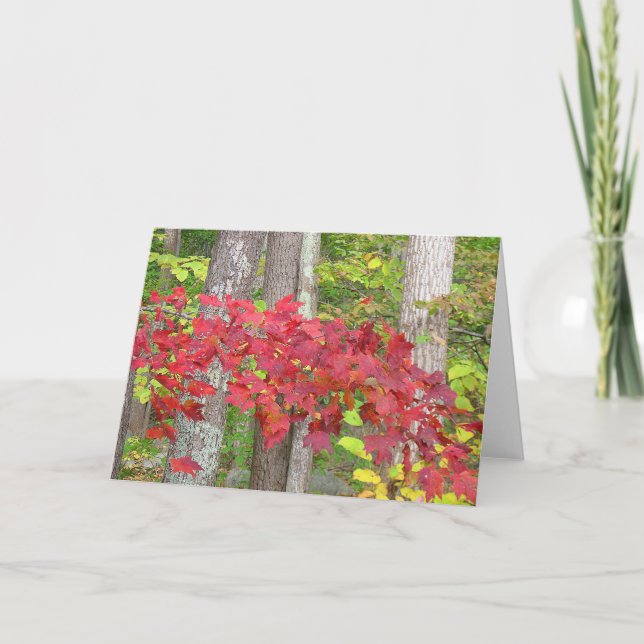Herbstnotecard Karte (Vorderseite)