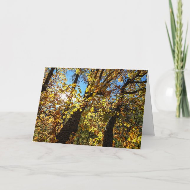 Herbstnotecard Sedona Karte (Vorderseite)
