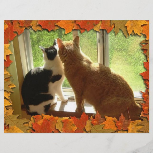 Herbstorange Tabby-Katzen Flyer (Vorne)