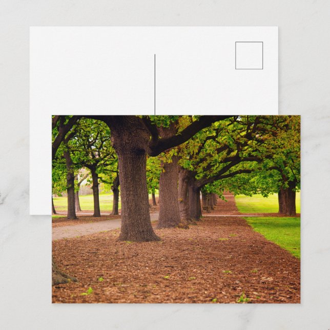 Herbstpark Postkarte (Vorne/Hinten)