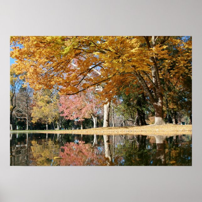 Herbstpark, Teich Poster (Vorne)