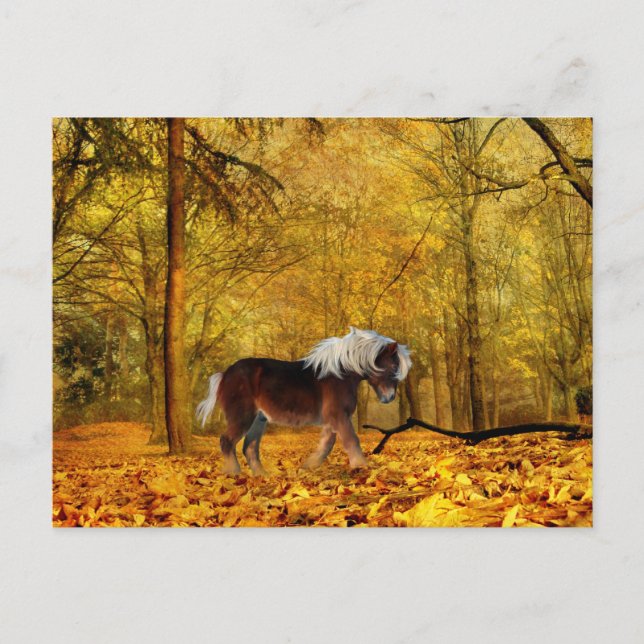 Herbstpferd Postkarte (Vorderseite)