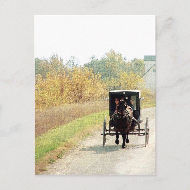 Herbstpferd und Buggy Postkarte (Vorderseite)