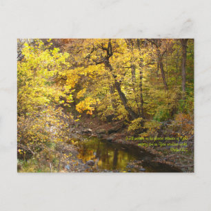 Herbstplendor III Postkarte
