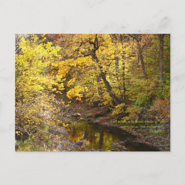 Herbstplendor III Postkarte (Vorderseite)