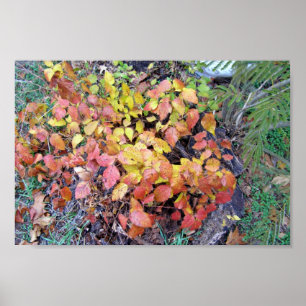 Herbstpoison-Efeu Poster