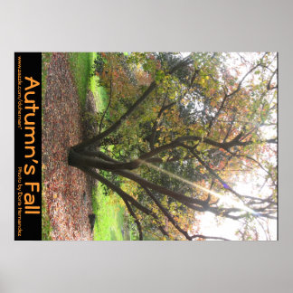Herbstposter des Baumhellstrahls Poster