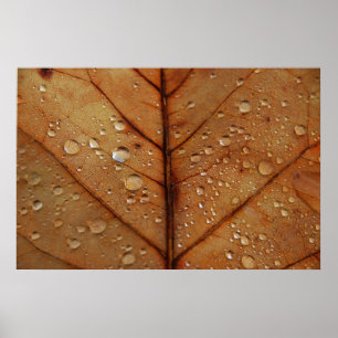 Herbstposter Poster