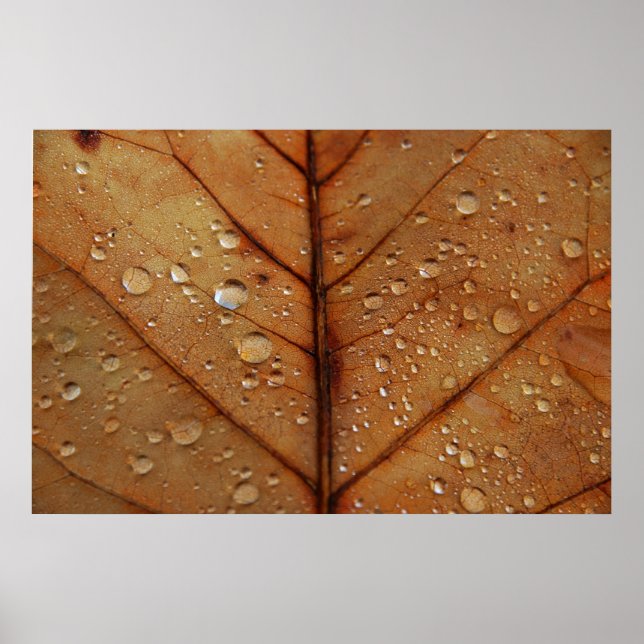 Herbstposter Poster (Vorne)