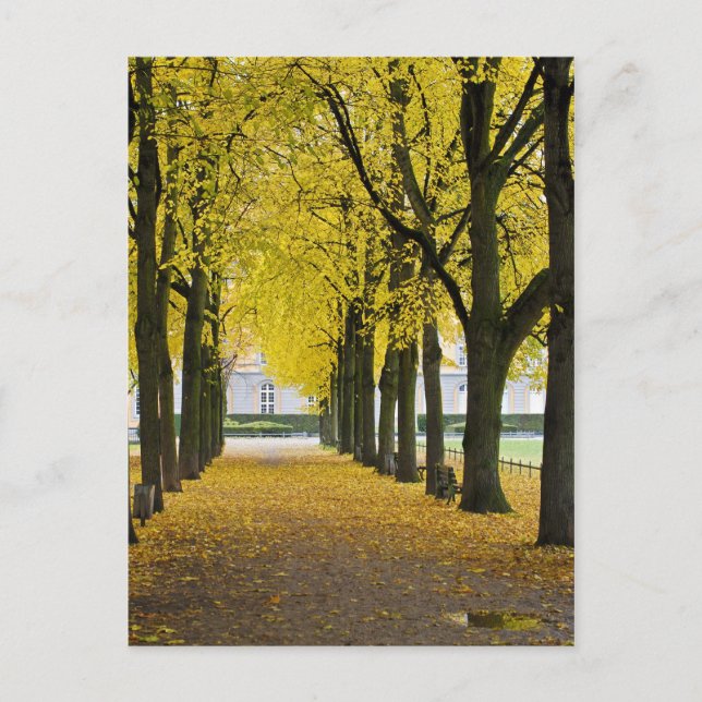 Herbstpostkarte Postkarte (Vorderseite)