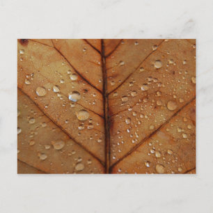 Herbstpostkarte Postkarte
