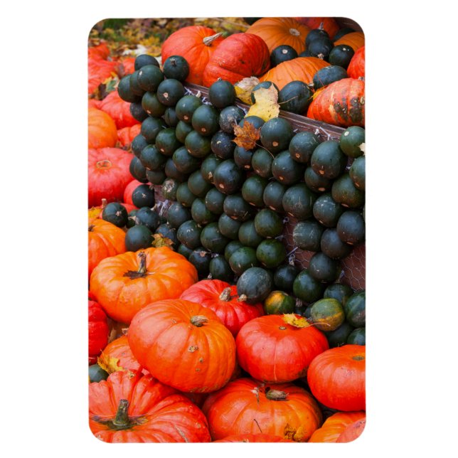Herbstpumpen Nah Magnet (Vertikal)